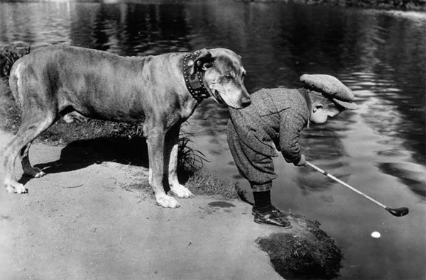 Helpful-Dog,-1920s